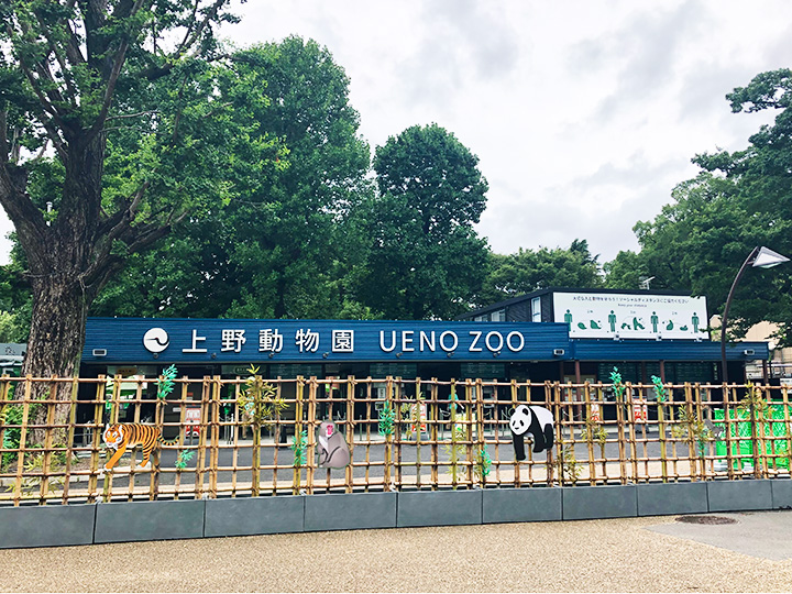 上野動物園　新ジャイアントパンダ舎「パンダのもり」オープン！