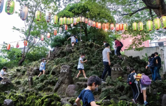 小野照崎神社 富士塚